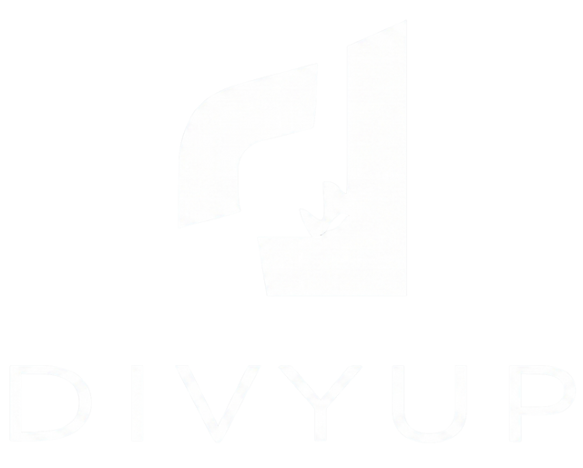 DivyUp Logo White